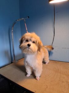 Nellie - June 24 2025
