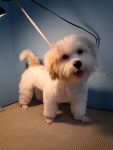 Wilbur - Jun 8 2025