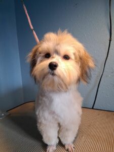 Nellie - June 24 2025