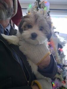 Estacaliente You Needed Me - "Bear" - 3 months old