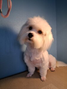 Wilbur - Feb 12 2026